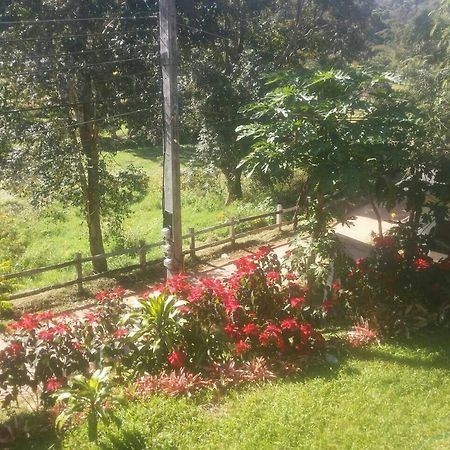 Phuoobfa Resort Pongjeng Kültér fotó